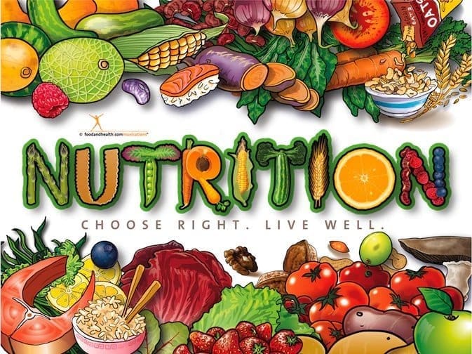 Nutrition, Supplements & Food Science